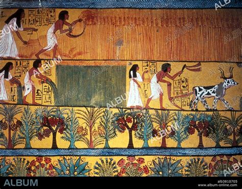 The Nile Flood: A Testament to Ancient Egyptian Agricultural Ingenuity and Divine Intervention