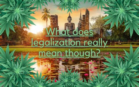 The No-Brainer Debate: Exploring Thailand's Stand on the 2019 Cannabis Legalization